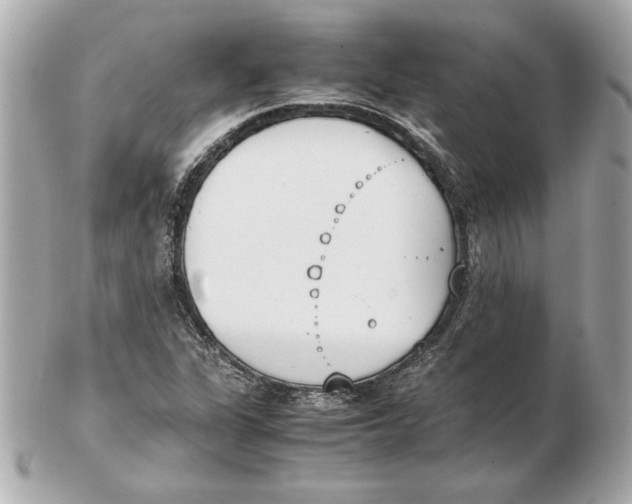 X0000102471311200808291555
