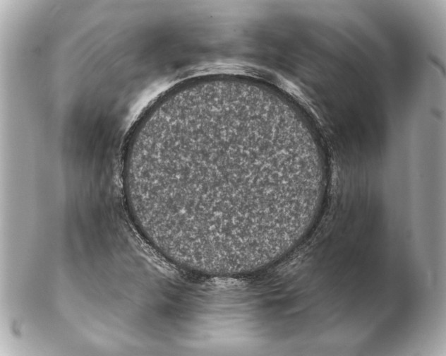 X0000102471312200808291555