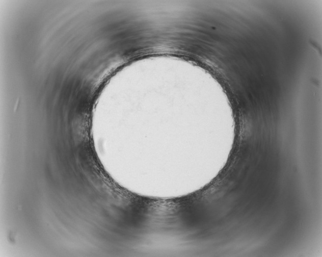 X0000102471314200808291555