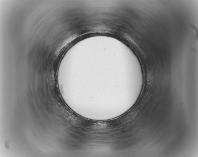 X0000102471315200808291555