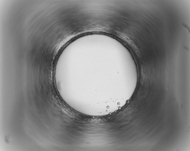 X0000102471316200808291555