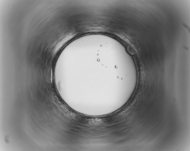 X0000102471317200808291555