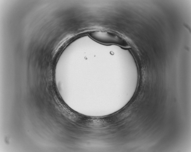 X0000102471318200808291555