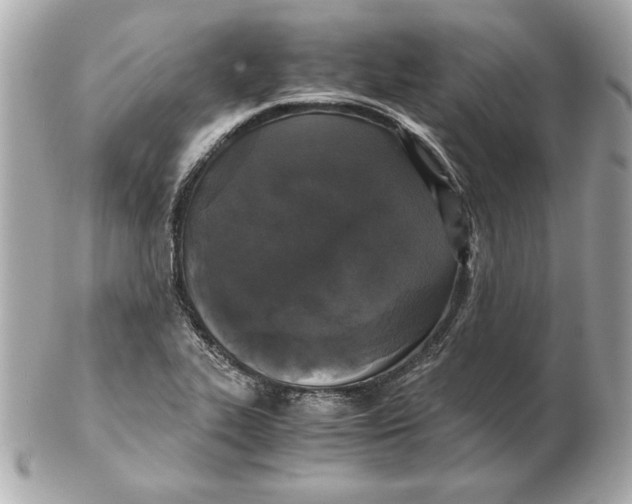 X0000102471319200808291555