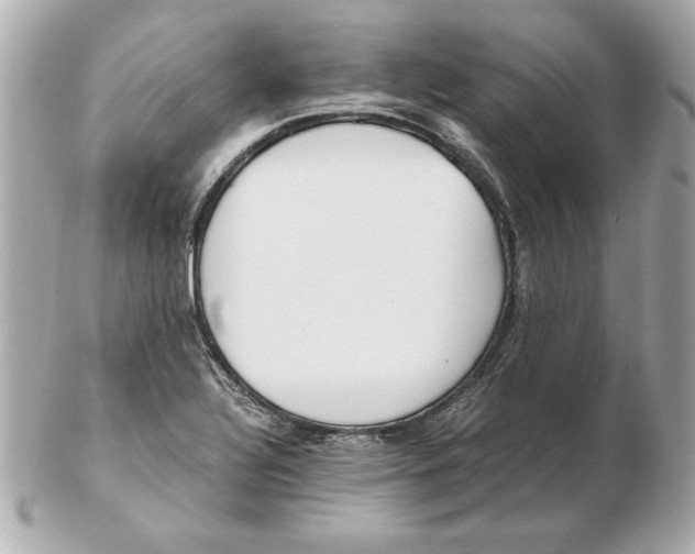 X0000102471320200808291555