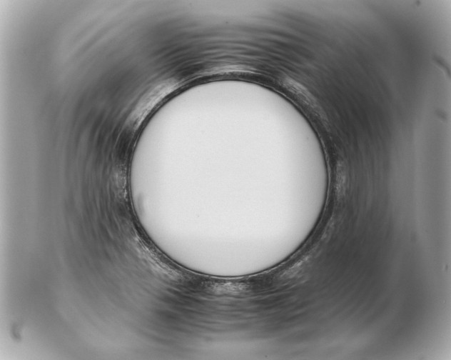 X0000102471321200808291555