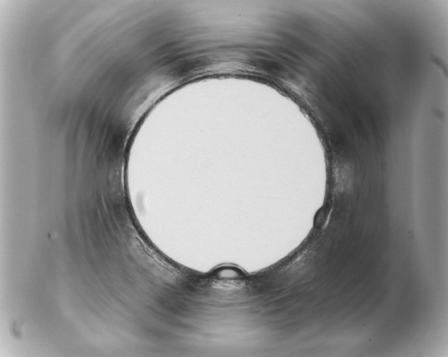 X0000102471322200808291555