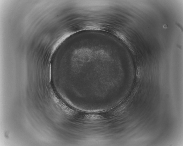 X0000102471323200808291555