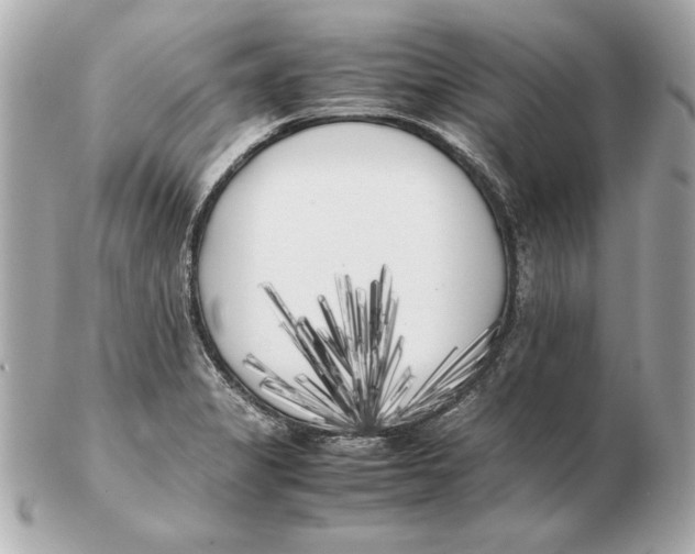 X0000102471325200808291555