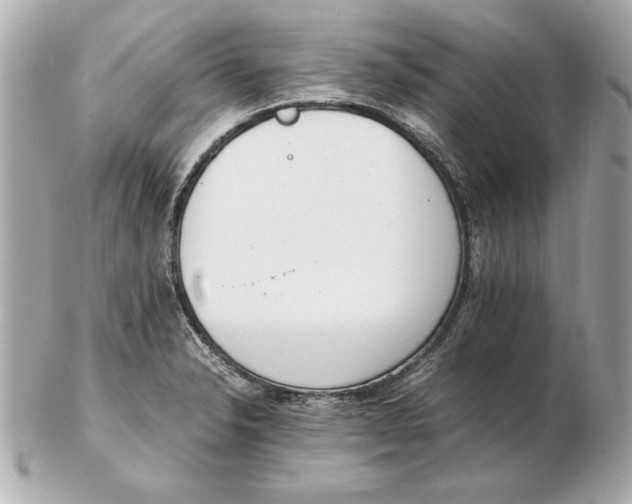 X0000102471326200808291555