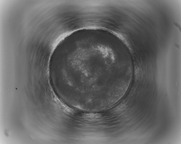 X0000102471327200808291555