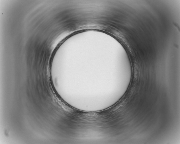 X0000102471328200808291555