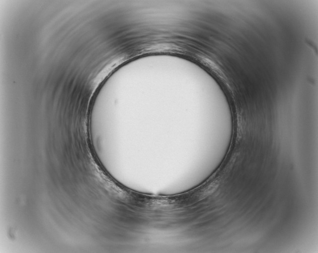 X0000102471330200808291555
