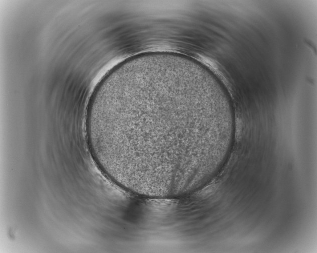 X0000102471331200808291555