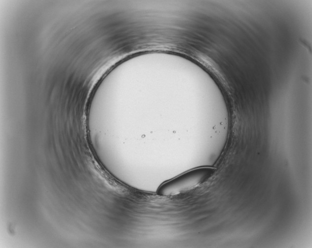 X0000102471332200808291555