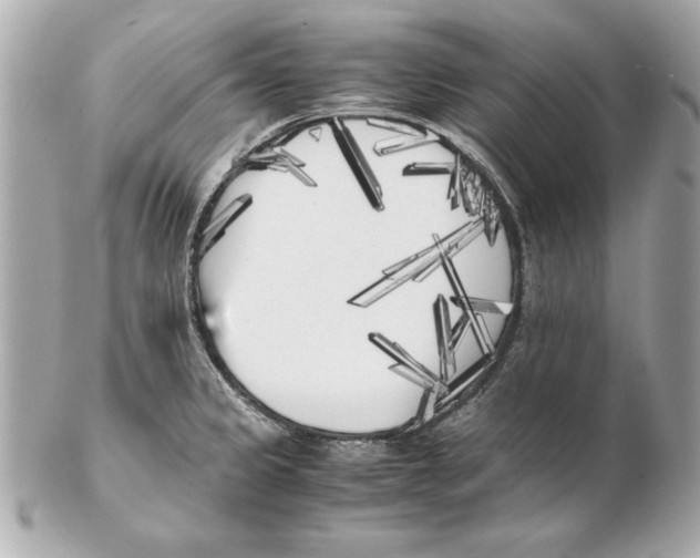 X0000102471333200808291555