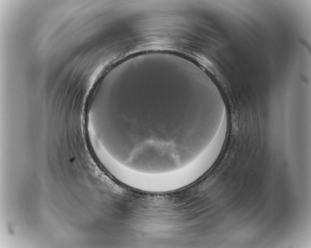 X0000102471334200808291555