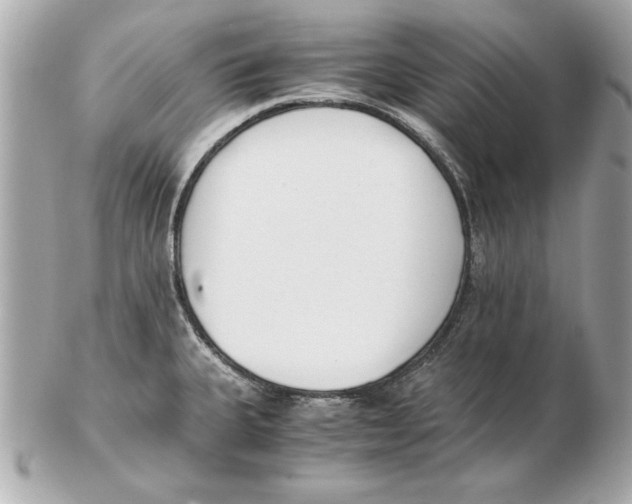 X0000102471335200808291555