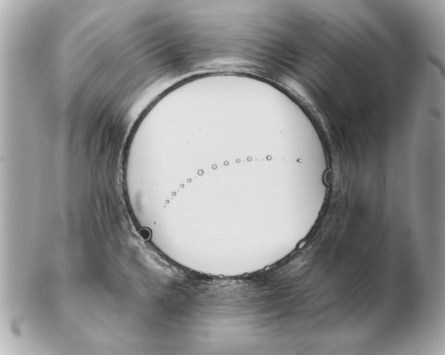 X0000102471336200808291556