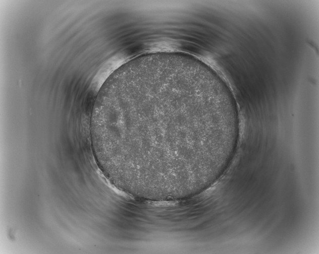 X0000102471337200808291556