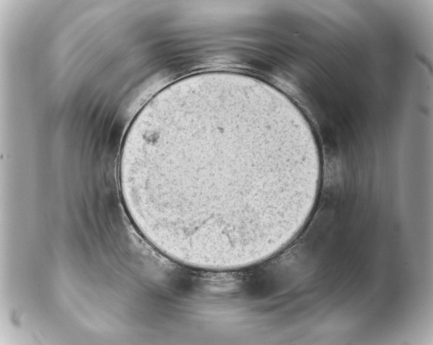 X0000102471338200808291556