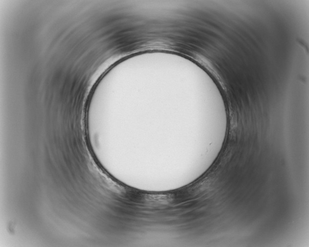 X0000102471339200808291556