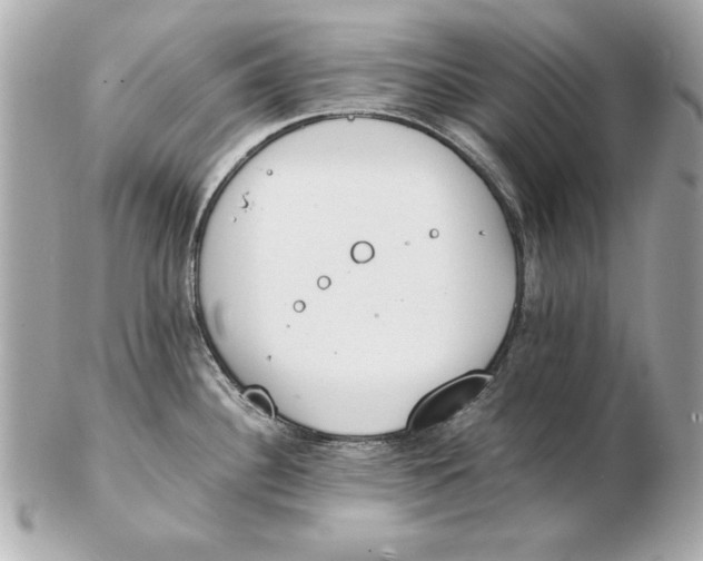 X0000102471340200808291556