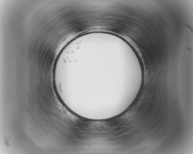 X0000102471341200808291556