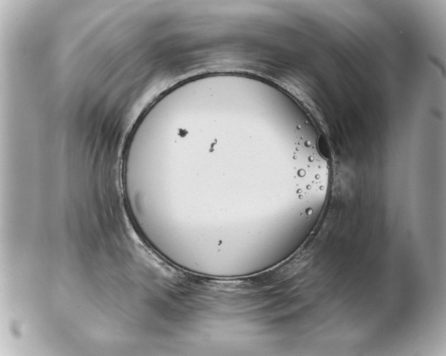 X0000102471342200808291556