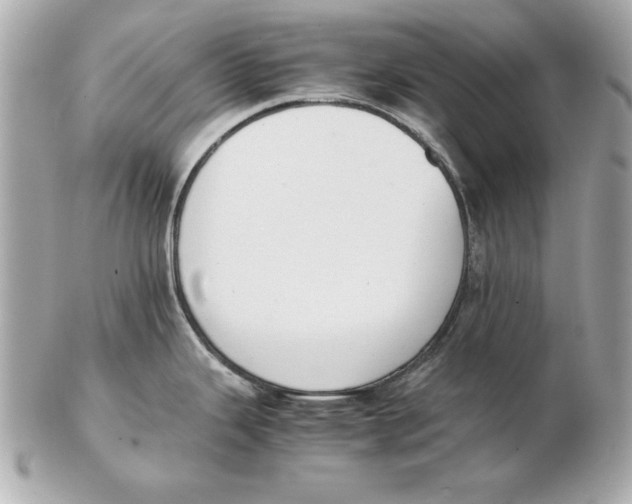 X0000102471343200808291556