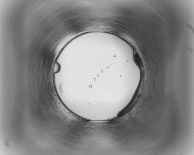 X0000102471344200808291556