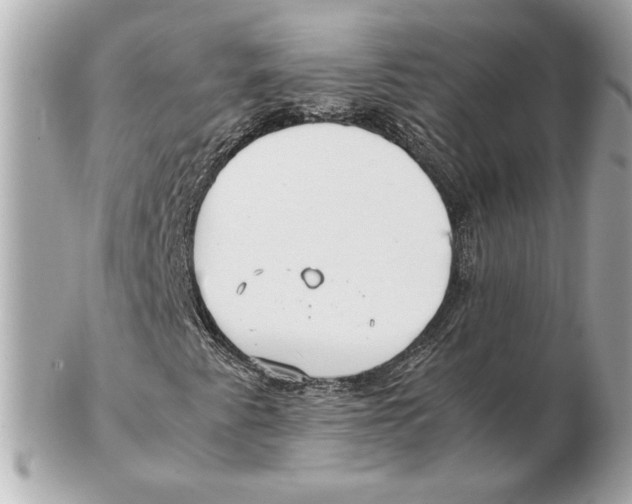 X0000102471345200808291555