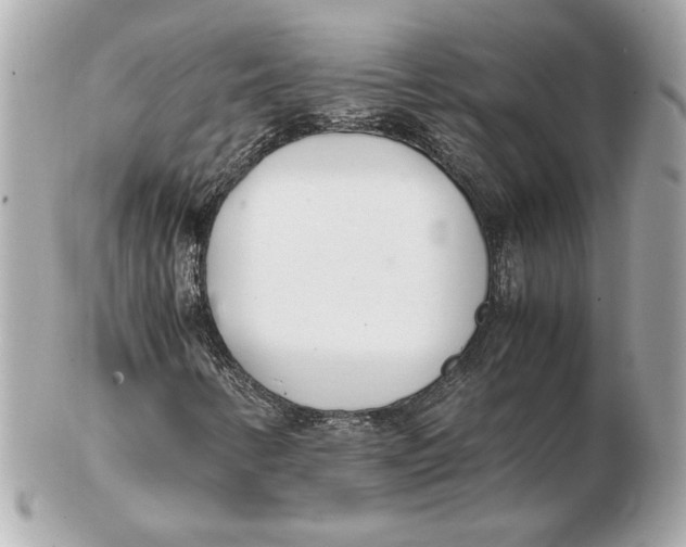 X0000102471346200808291555