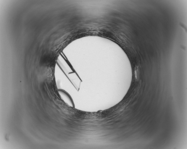 X0000102471347200808291555