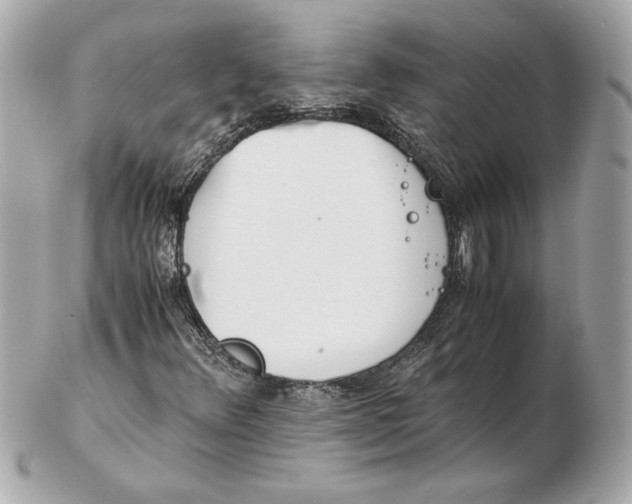X0000102471348200808291555