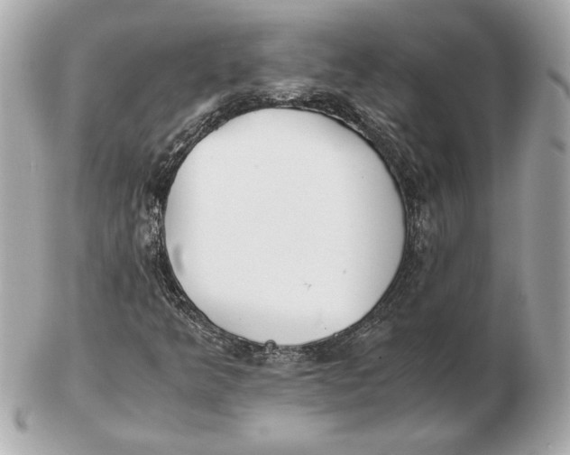 X0000102471349200808291555