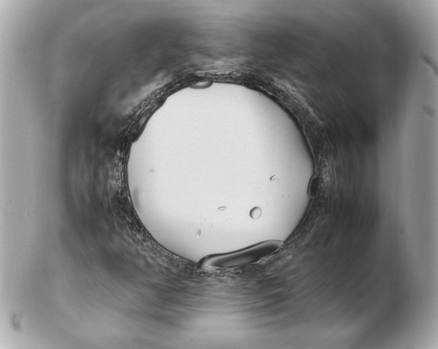 X0000102471350200808291555