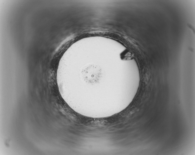 X0000102471351200808291555