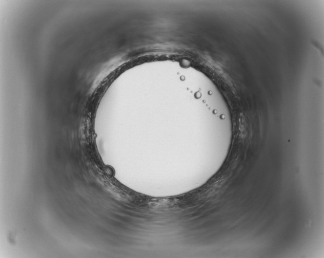 X0000102471352200808291555