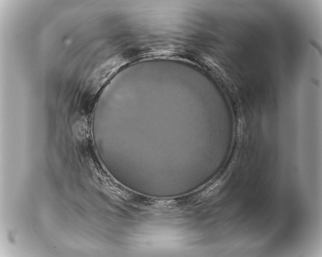 X0000102471353200808291555