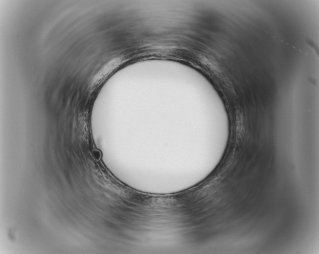 X0000102471354200808291555