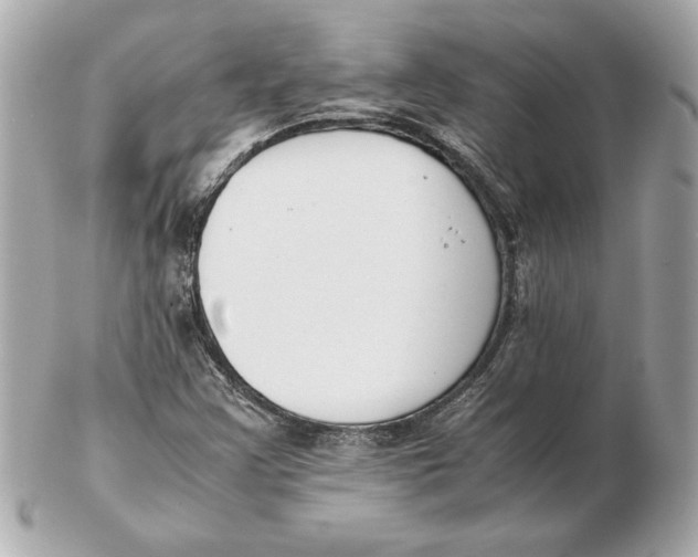 X0000102471355200808291555