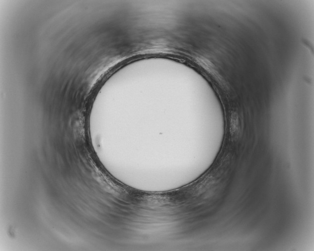 X0000102471356200808291555