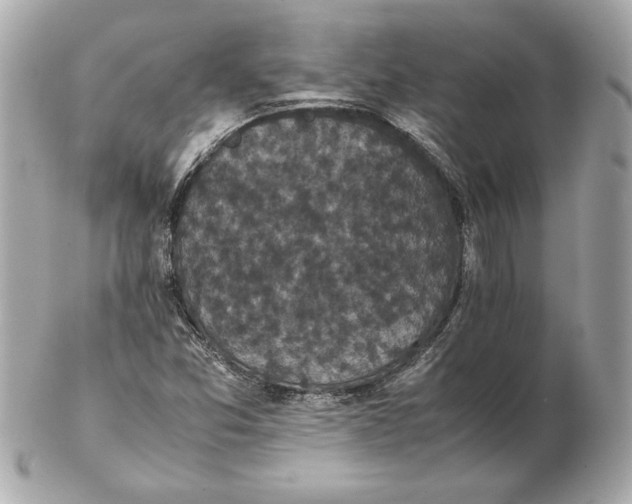 X0000102471357200808291555