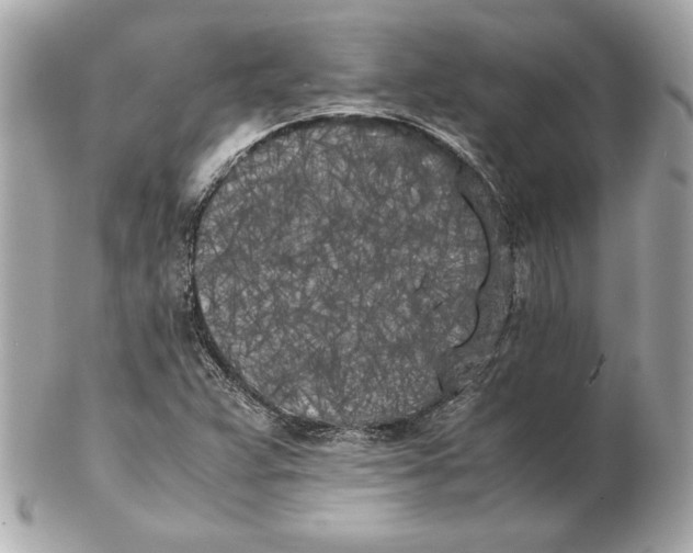 X0000102471359200808291555