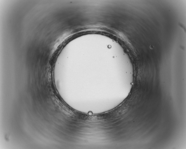 X0000102471360200808291555