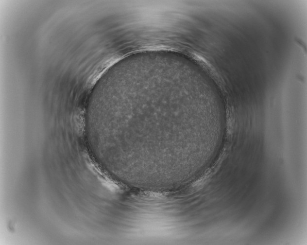 X0000102471361200808291555