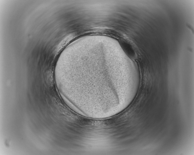 X0000102471362200808291555