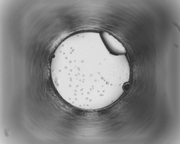 X0000102471363200808291555