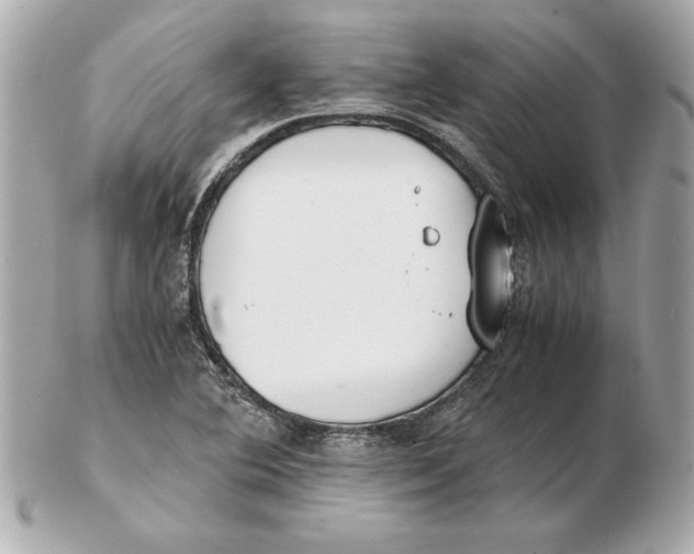 X0000102471364200808291555